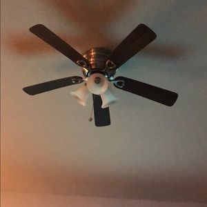 Meet your Posher, Sandy